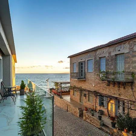 Marina * كارداميلي